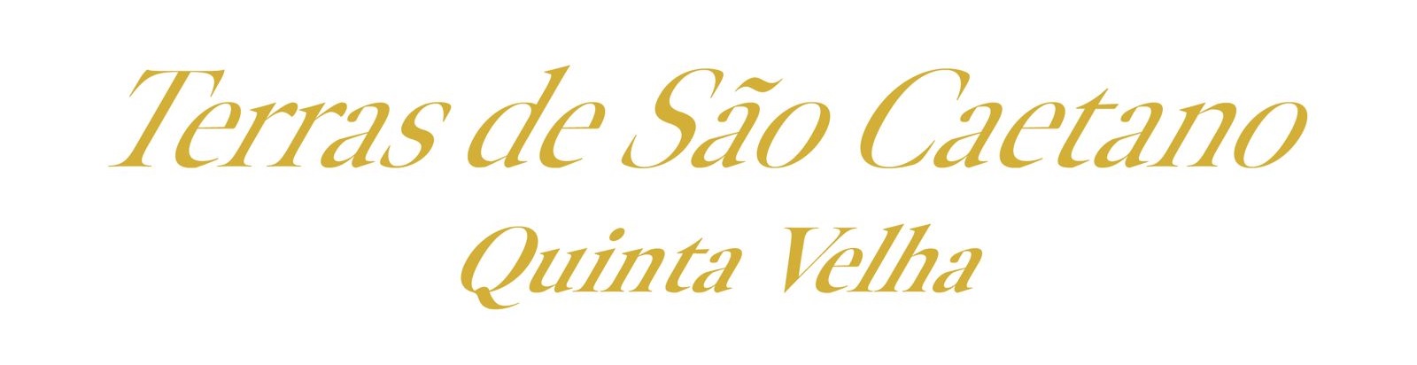 Terras de São Caetano – Quinta Velha Terras de São Caetano – Quinta Velha